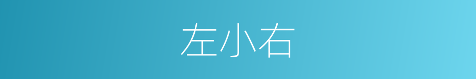 左小右的同义词