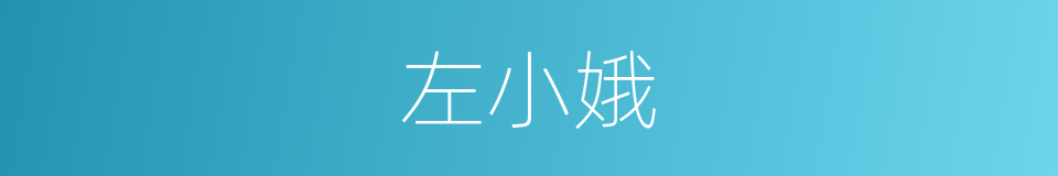 左小娥的同义词