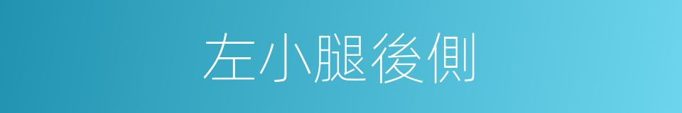 左小腿後側的同義詞