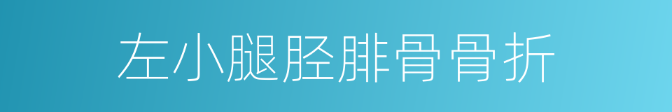 左小腿胫腓骨骨折的同义词