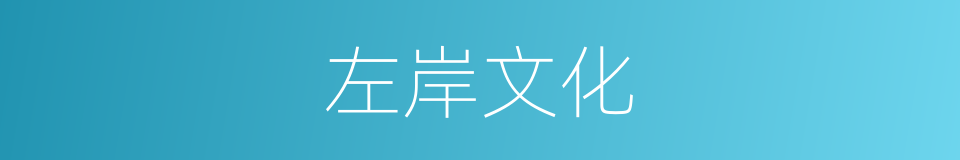 左岸文化的同义词