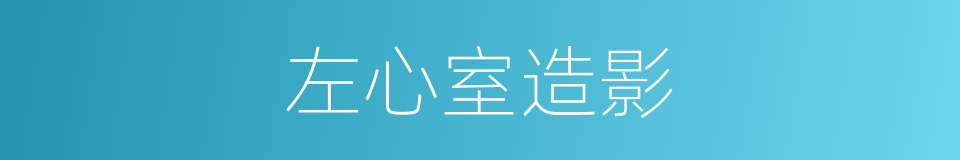 左心室造影的同义词