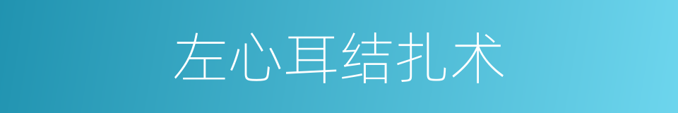 左心耳结扎术的同义词
