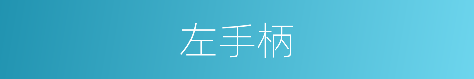 左手柄的同义词