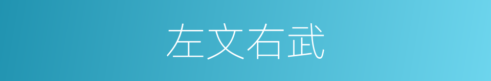 左文右武的意思