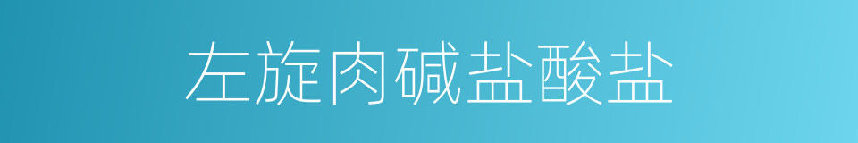 左旋肉碱盐酸盐的同义词