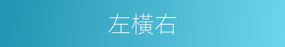 左橫右的同義詞