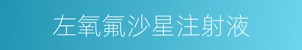 左氧氟沙星注射液的同义词