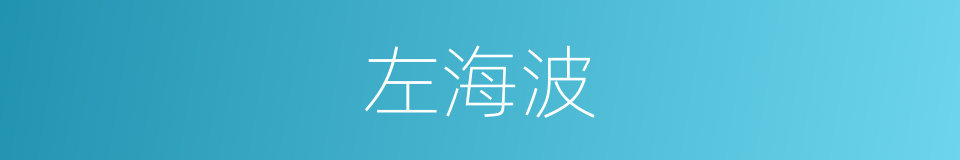 左海波的同义词