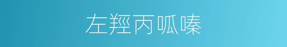 左羥丙呱嗪的同義詞