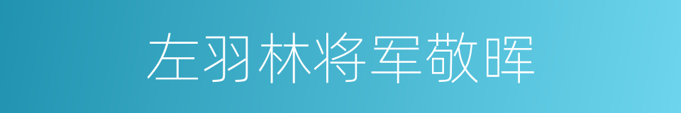 左羽林将军敬晖的同义词