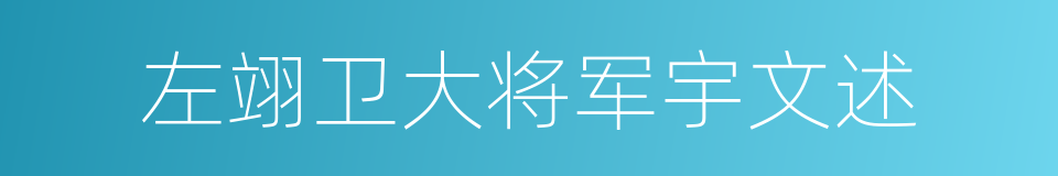 左翊卫大将军宇文述的同义词