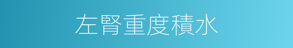 左腎重度積水的同義詞