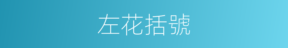 左花括號的同義詞