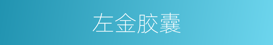 左金胶囊的同义词