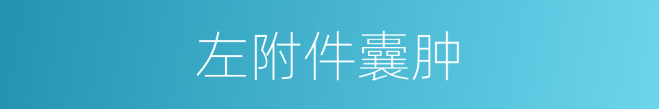 左附件囊肿的同义词