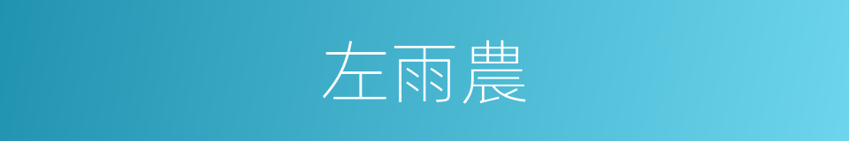 左雨農的同義詞