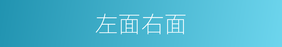 左面右面的同义词