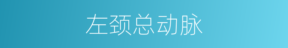 左颈总动脉的同义词