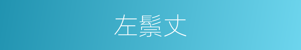 左鬃丈的同义词