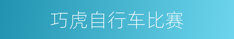 巧虎自行车比赛的同义词