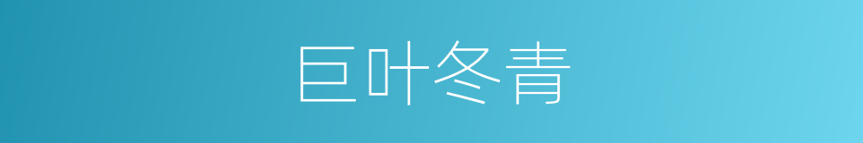 巨叶冬青的同义词