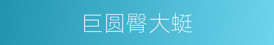 巨圆臀大蜓的同义词