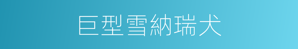 巨型雪納瑞犬的同義詞