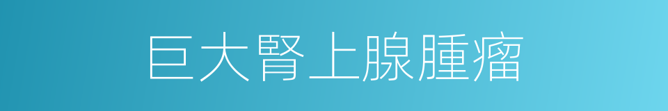 巨大腎上腺腫瘤的同義詞