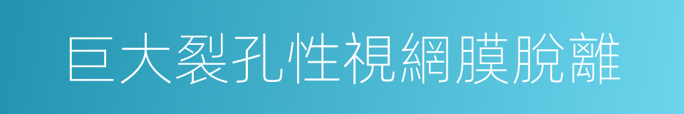 巨大裂孔性視網膜脫離的同義詞