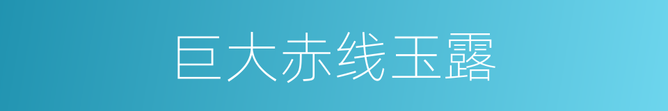 巨大赤线玉露的同义词
