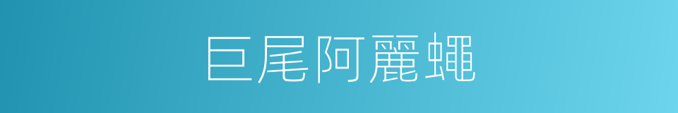 巨尾阿麗蠅的同義詞