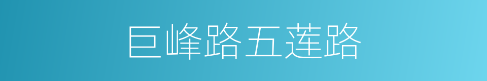 巨峰路五莲路的同义词