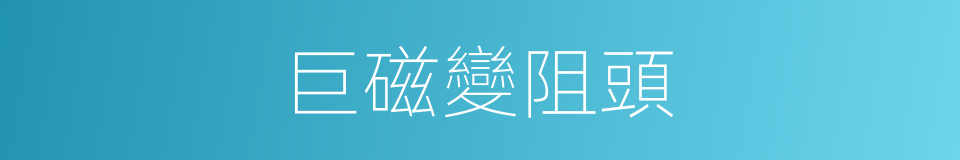 巨磁變阻頭的同義詞