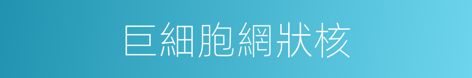 巨細胞網狀核的同義詞