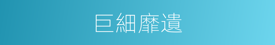 巨細靡遺的意思