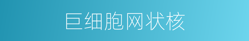 巨细胞网状核的同义词