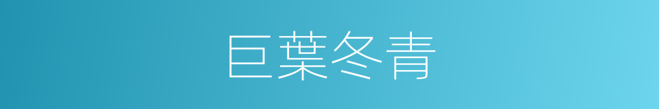 巨葉冬青的同義詞