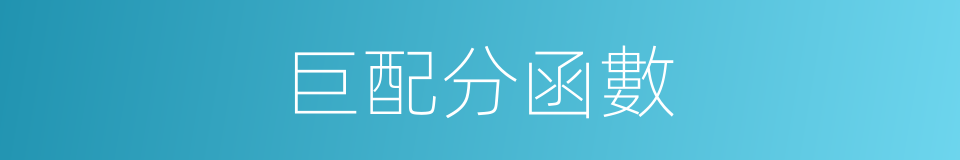 巨配分函數的同義詞