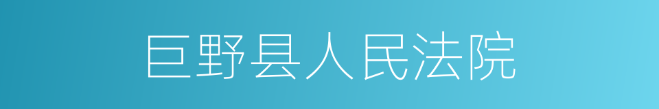 巨野县人民法院的同义词