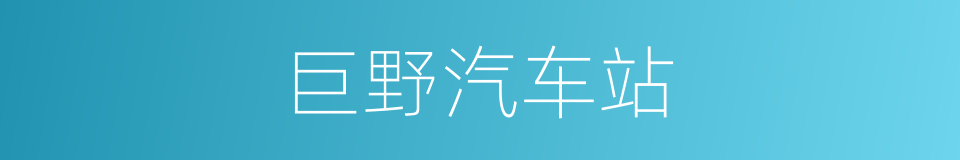 巨野汽车站的同义词