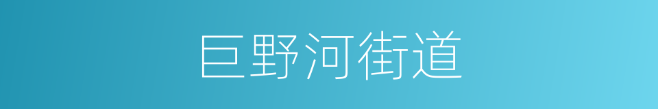 巨野河街道的同义词