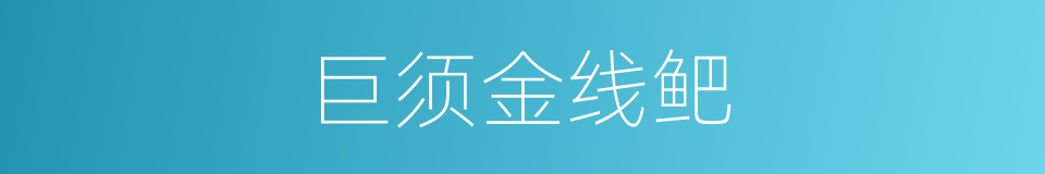 巨须金线鲃的同义词