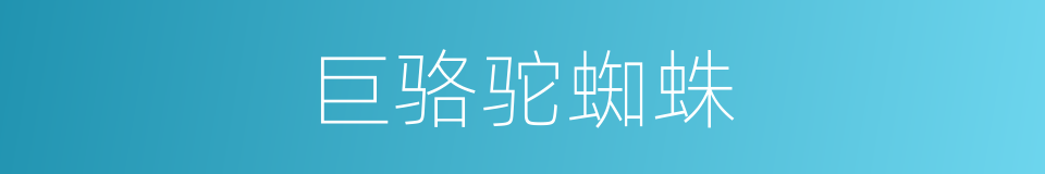 巨骆驼蜘蛛的同义词