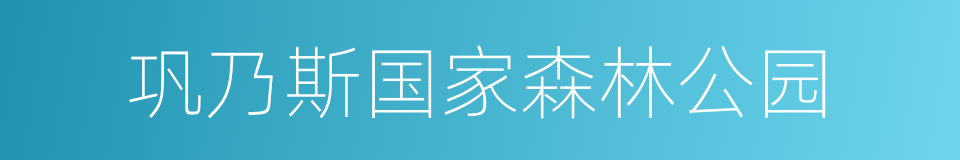 巩乃斯国家森林公园的同义词