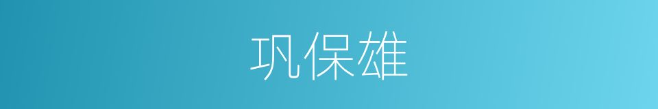 巩保雄的同义词