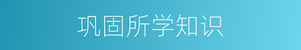 巩固所学知识的同义词
