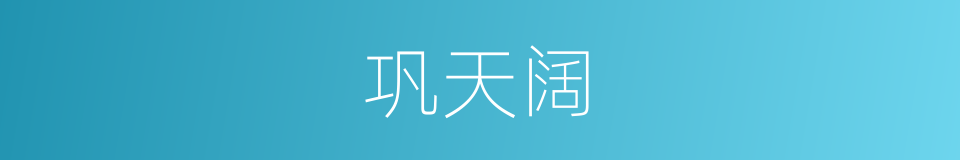 巩天阔的同义词