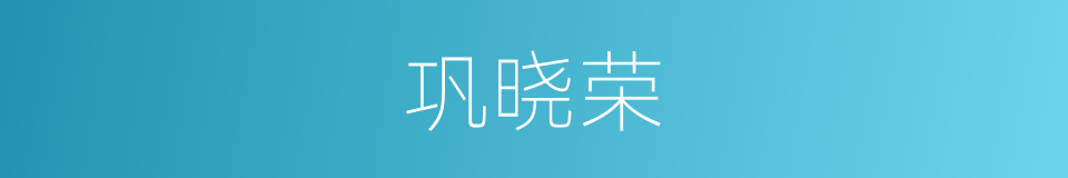 巩晓荣的同义词