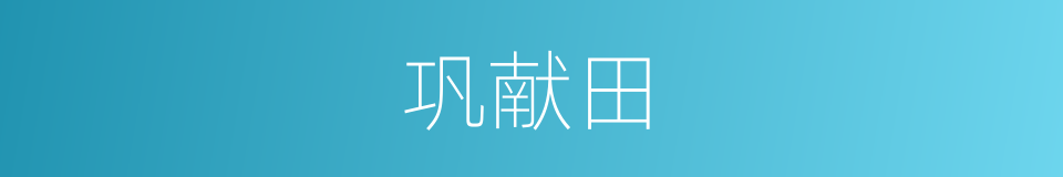 巩献田的同义词